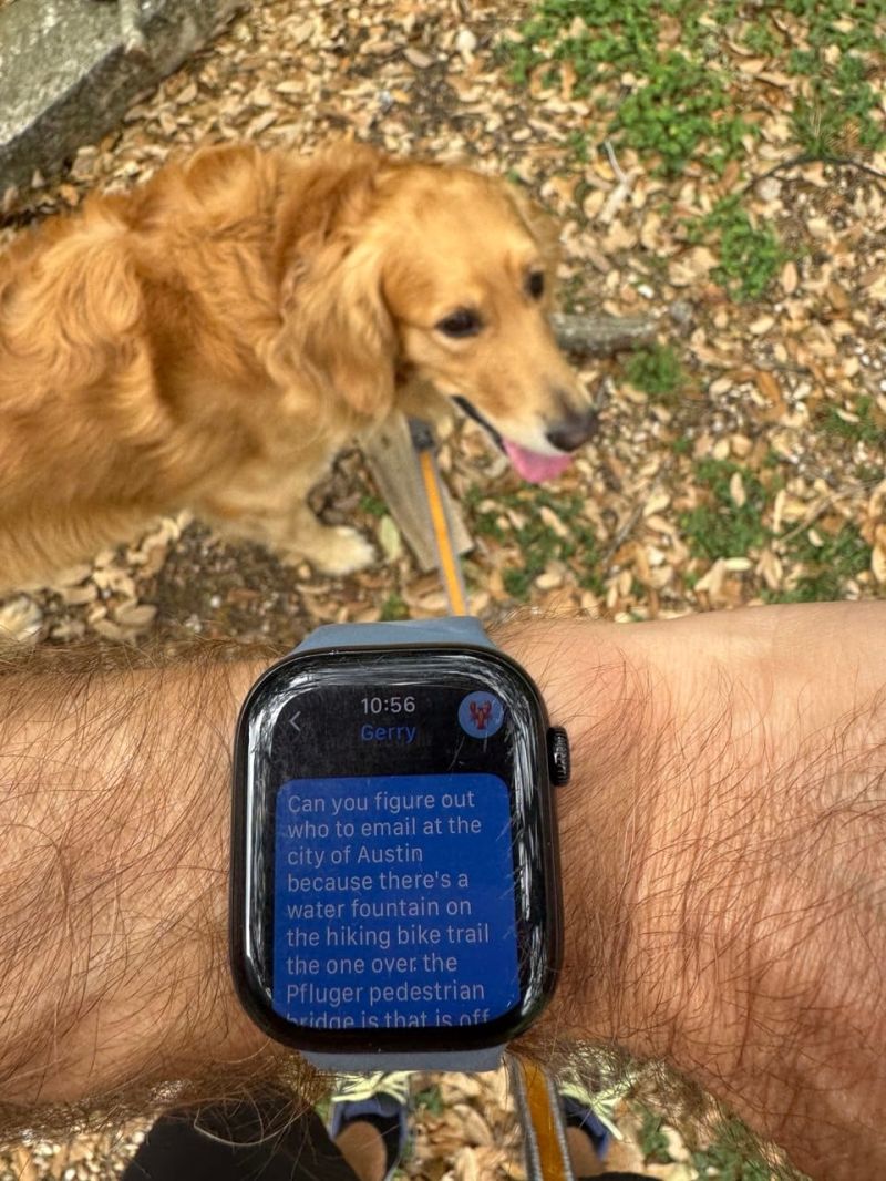 Dave on a run with Hank, showing the Apple Watch prompt.